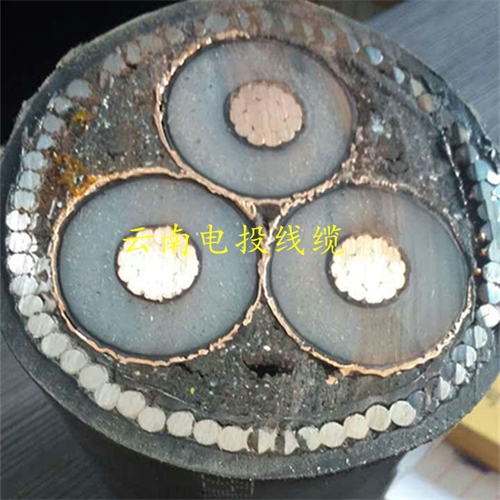 www.jttkj.cn