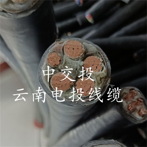 www.jttkj.cn