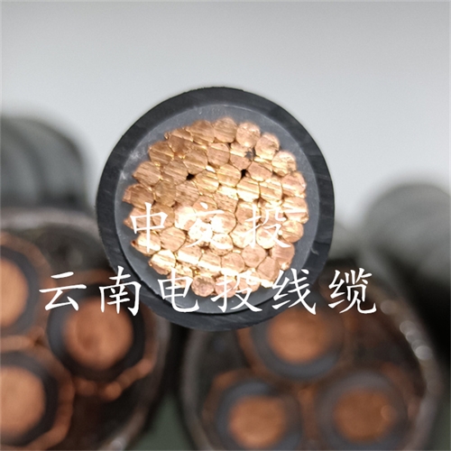 www.jttkj.cn