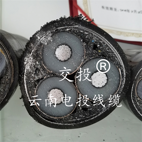 www.jttkj.cn