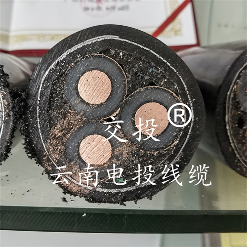 www.jttkj.cn